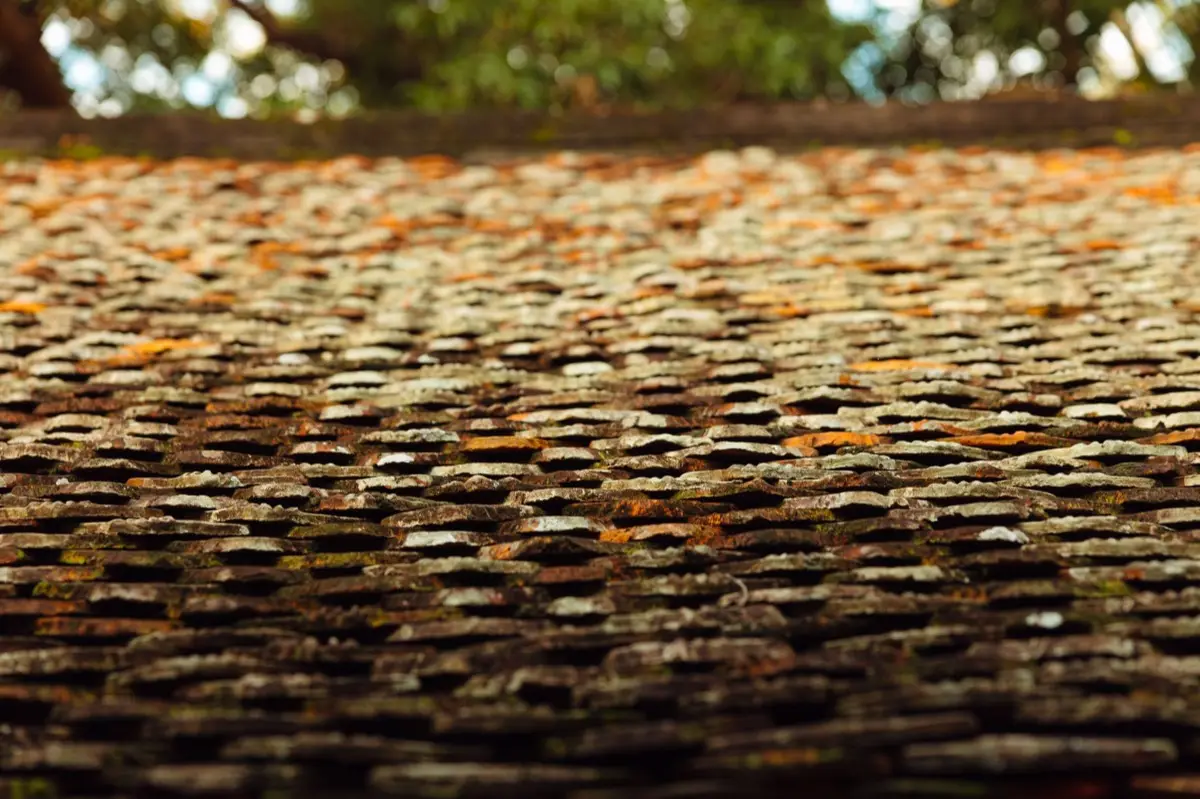 Aging shingle roof with moss growth and granule loss in Visalia, CA